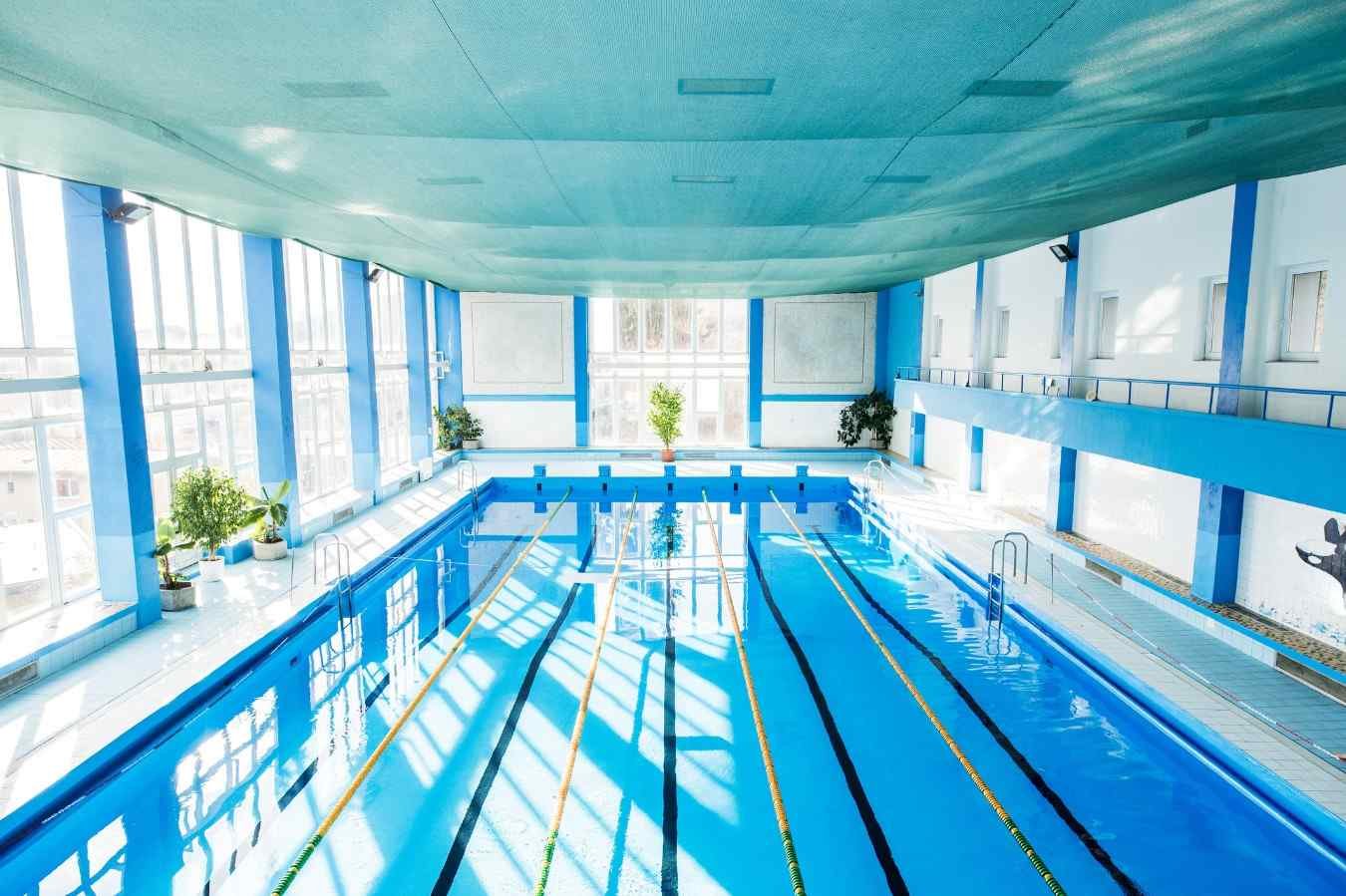 AI image of a competitive swimming pool in Singia, West Bengal, India